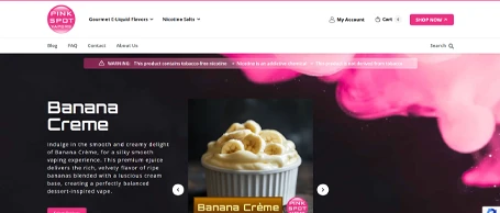 Pink Spot Las Vegas website design example